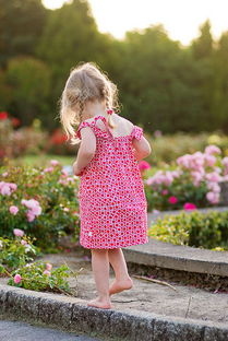 揭秘萝莉岛客户名单：真相与争议