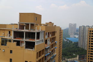 那栋楼（4）：隐藏在记忆深处的秘密