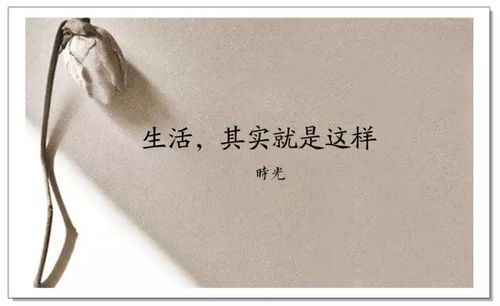 选择喜欢的生活方式：张馨月的平衡之道