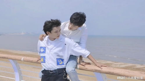 哥哥你别跑第六集：一场关于青春与成长的追逐