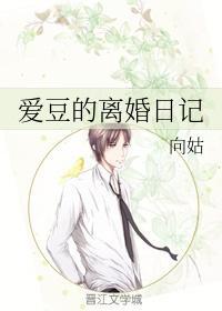 夏茵的离婚日记：一场自我救赎的心灵旅程