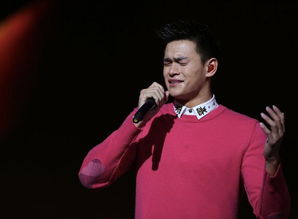 撒贝宁携小黑机器人亮相2025年元宵晚会：科技与传统碰撞的奇妙之夜