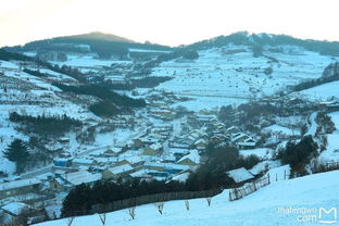 成都雪村“棉花雪”事件：从创意到争议，游客如何看待？