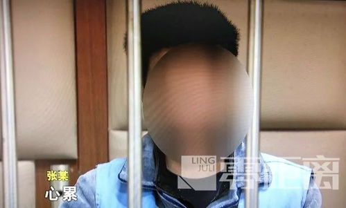 震惊！张某“隔空猥亵”多名未成年女孩被判刑，网络世界中的隐秘罪恶