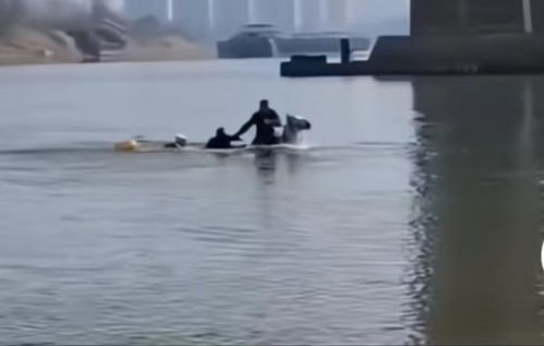 跳江救人白马后事已处理好：英雄与白马的感人故事