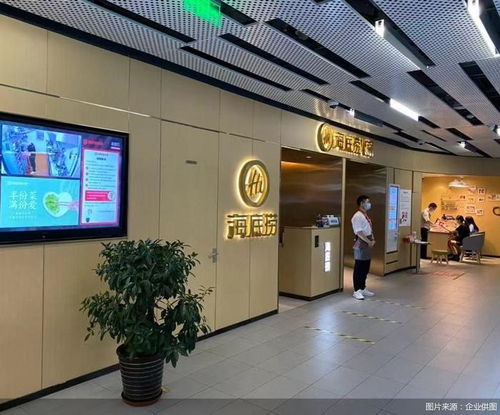 海底捞回应招211或985学历外送员：学历与能力的碰撞