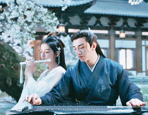 还君甘露：一段关于成长与感恩的深刻旅程