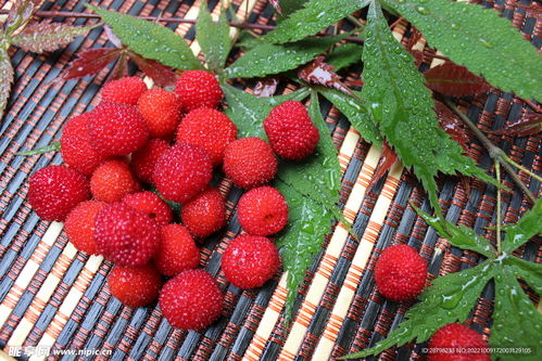 错位摄影怎么拍？重庆树莓摄影学校教你前景控制