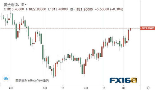 股市预测的迷雾：是智慧还是愚蠢？