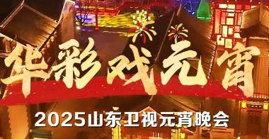 2025山东卫视元宵晚会：郑业成与非遗戏曲的奇妙碰撞
