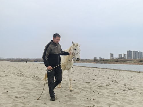 感人至深！与主人英勇救人的“白龙马”离世，当地将建雕像铭记英雄