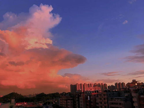 今日细碎：在生活的缝隙中寻找诗意