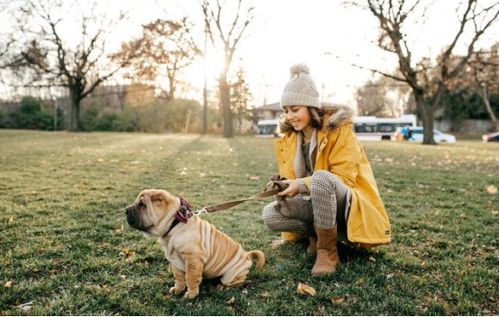 女子吐槽袜子上“狗牵女性”不雅图案：时尚还是冒犯？
