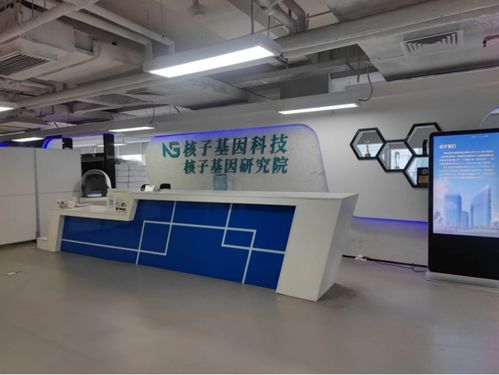 张核子的头等舱体验：从北京到德国的奢华旅程