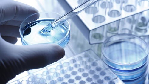 “核酸大王”公司直播带货销售额为0：他的失败启示录