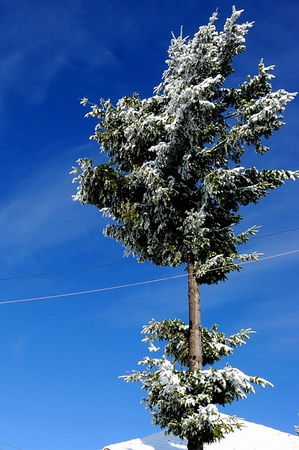 腊月初九：那些关于“凶日”的老规矩与温暖记忆