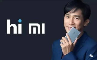 从雷军创业抉择看市场方向：手机发烧友的视角与养老服务站的未来