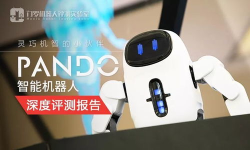 当AI机器人走进我们的生活：一场人机互动的深度思考