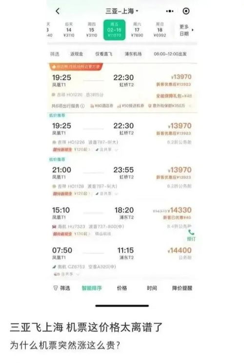 第一批返岗的打工人：精英教育与现实碰撞后的选择