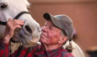 白马主人依立拜：一夜未眠的牵挂与责任