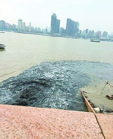 长江水污染问题引关注：宜昌污水排放事件的真相与反思