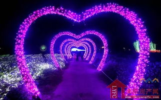 春信与灯光：一位写作者的温暖旅程