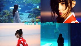 夏日片断：一场与夏天的深度对话