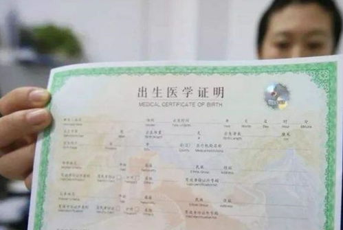湖南一医院员工兜售出生证事件深度揭秘