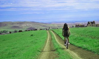 前进的道路：一个普通人的奋斗故事