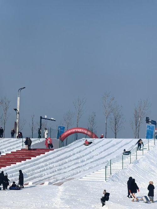 当“尔滨”邂逅亚冬会：冰雪世界的闪耀奇迹