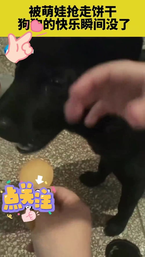 萌娃饼干被抢走 忍了三次终于爆发：孩子的世界也需要尊重