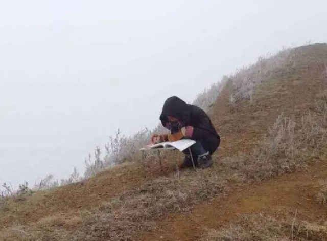 从河南到云南：一个普通农妇的追梦之旅