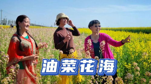 黄澄澄的油菜花：一场春天里的视觉盛宴