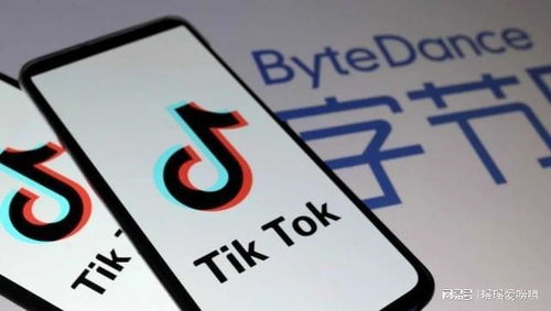 TikTok顶流车评人入驻抖音：不一样的文化碰撞