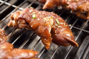 女子烤衣服直接烤成塑料了：一场意外引发的安全警钟