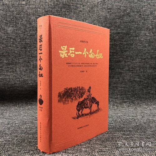 高建群《最后一个匈奴》：陕北人与唢呐的深情对话