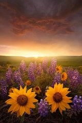 处处细心：从细节中发现生活的美好