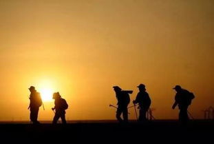 艰难的追寻：在成长中寻找自我