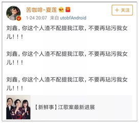江歌妈妈被举报诈捐事件：真相与反思
