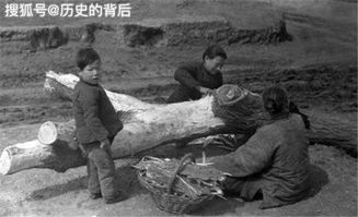 改革开放后，我的生活发生了哪些翻天覆地的变化？