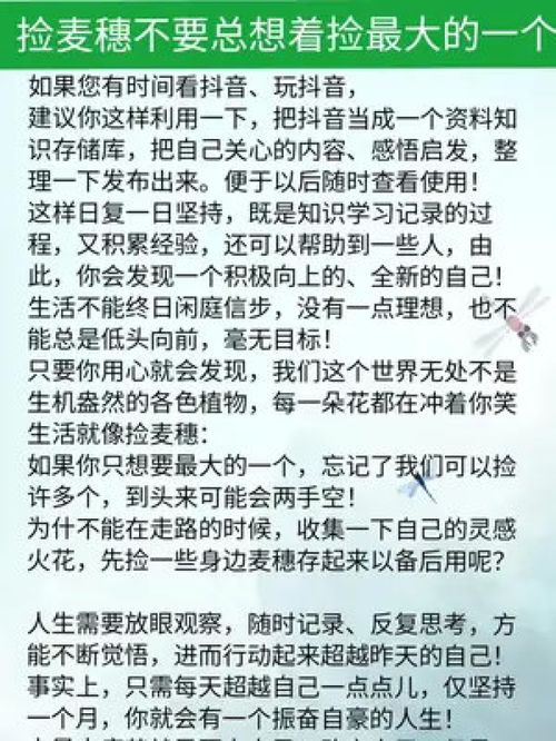 不要总想着最大的“麦穗”：人生的选择与坚持