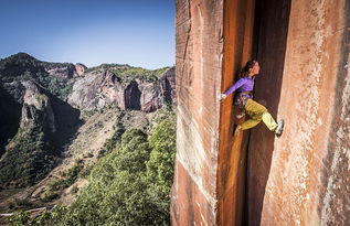 张家界女教师徒步坠崖事件：一场悲剧背后的深思