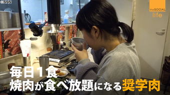 何家艺破产全家支援：从辉煌到低谷的逆袭故事