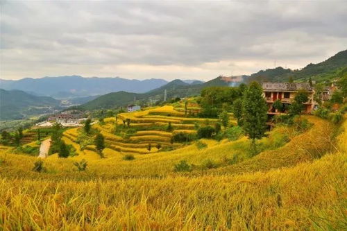 我在联合梯田等你，诗与远方的家