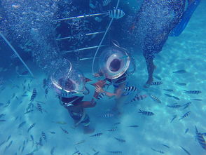 溺亡的繁星：那些被忽视的声音