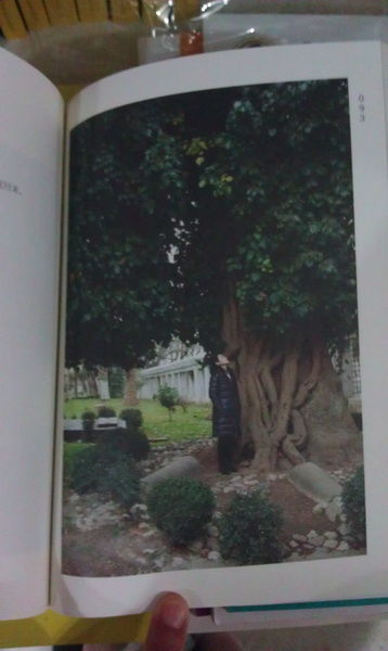 生活杂记：从琐碎中找到平静与美好