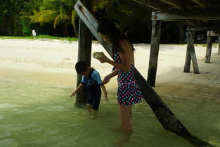 香港祖孙三人离奇殒命 背后真相令人深思