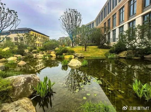 华为最大研发中心为何选在上海的乡下？