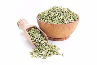 小茴香泡酒全攻略：从入门到精通，让你轻松上手的详细教程