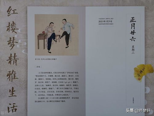 红楼读记：一场跨越时空的文学对话